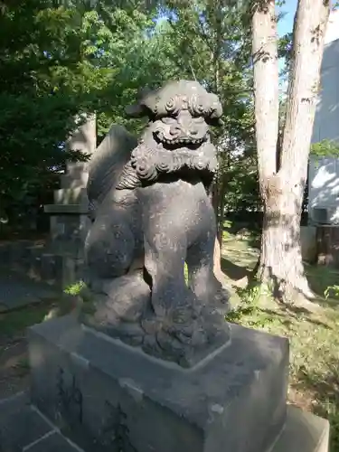 新琴似神社の狛犬