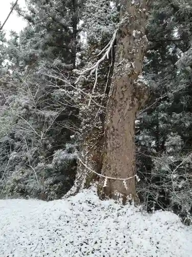 八雲神社（筆甫）(宮城県)