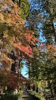 八幡宮(茨城県)
