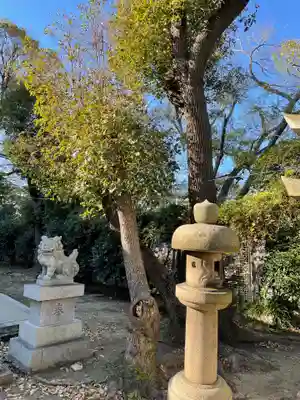 難波大社 生國魂神社の狛犬