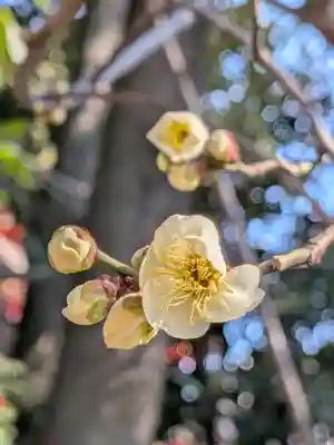馬橋稲荷神社(東京都)
