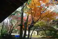 覚苑寺(山口県)