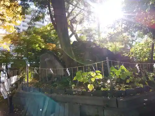 素盞雄神社(東京都)
