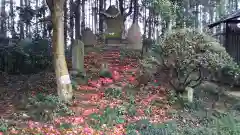 香取神社の建物その他