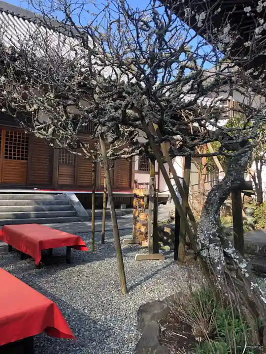 佛日庵(神奈川県)