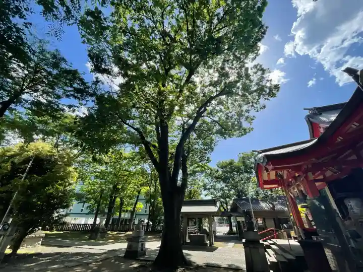 戸部杉山神社の{uncategorized: "未分類", other: "その他", undefined: "問題あり", building: "その他建物", grave: "お墓", sacred_gate: "鳥居", guardian: "狛犬", statue: "像", buddha: "仏像", history: "歴史", nature: "自然", garden: "庭園", animal: "動物", pagoda: "塔", temizu: "手水舎", mountain_gate: "山門・神門", sanctuary: "本殿・本堂", subordinate: "末社・摂社", art: "芸術", scenery: "景色", jizo: "地蔵", ema: "絵馬", goshuin: "御朱印", omikuji: "おみくじ", items: "授与品その他", amulet: "お守り", goshuincho: "御朱印帳", eats: "食事", festival: "お祭り", votive_dance: "神楽", shichigosan: "七五三参", wedding: "結婚式", experience: "体験その他", initially: "初詣", around: "周辺", anti_infection: "感染症対策"}