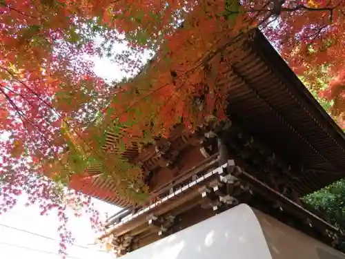 大正寺の山門・神門
