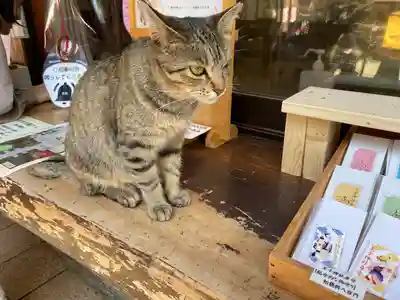 王子神社(徳島県)