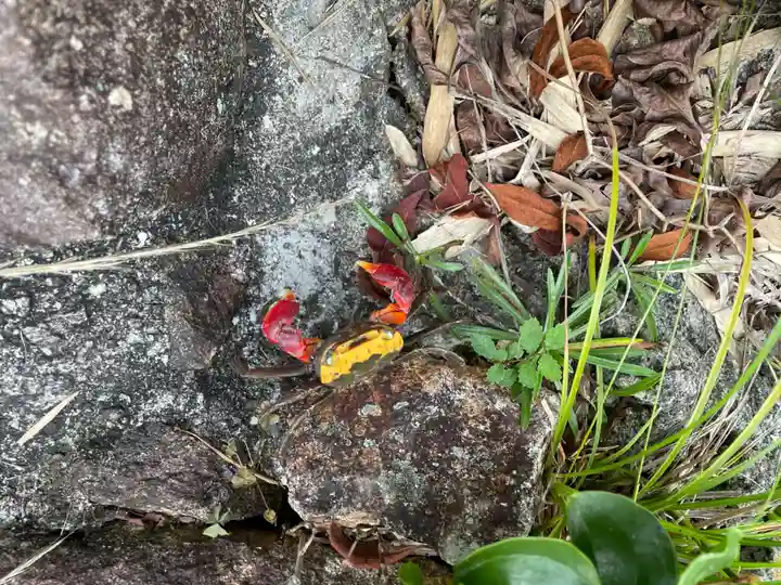 妙見寺(兵庫県)