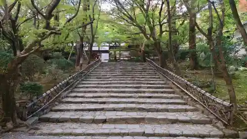 龍安寺の{uncategorized: "未分類", other: "その他", undefined: "問題あり", building: "その他建物", grave: "お墓", sacred_gate: "鳥居", guardian: "狛犬", statue: "像", buddha: "仏像", history: "歴史", nature: "自然", garden: "庭園", animal: "動物", pagoda: "塔", temizu: "手水舎", mountain_gate: "山門・神門", sanctuary: "本殿・本堂", subordinate: "末社・摂社", art: "芸術", scenery: "景色", jizo: "地蔵", ema: "絵馬", goshuin: "御朱印", omikuji: "おみくじ", items: "授与品その他", amulet: "お守り", goshuincho: "御朱印帳", eats: "食事", festival: "お祭り", votive_dance: "神楽", shichigosan: "七五三参", wedding: "結婚式", experience: "体験その他", initially: "初詣", around: "周辺", anti_infection: "感染症対策"}