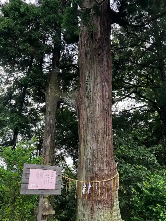 熊野那智神社(宮城県)