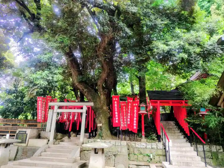 赤坂王子稲荷神社の{uncategorized: "未分類", other: "その他", undefined: "問題あり", building: "その他建物", grave: "お墓", sacred_gate: "鳥居", guardian: "狛犬", statue: "像", buddha: "仏像", history: "歴史", nature: "自然", garden: "庭園", animal: "動物", pagoda: "塔", temizu: "手水舎", mountain_gate: "山門・神門", sanctuary: "本殿・本堂", subordinate: "末社・摂社", art: "芸術", scenery: "景色", jizo: "地蔵", ema: "絵馬", goshuin: "御朱印", omikuji: "おみくじ", items: "授与品その他", amulet: "お守り", goshuincho: "御朱印帳", eats: "食事", festival: "お祭り", votive_dance: "神楽", shichigosan: "七五三参", wedding: "結婚式", experience: "体験その他", initially: "初詣", around: "周辺", anti_infection: "感染症対策"}