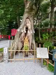 秩父今宮神社(埼玉県)