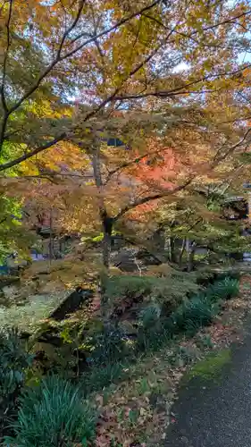 寂光院(京都府)