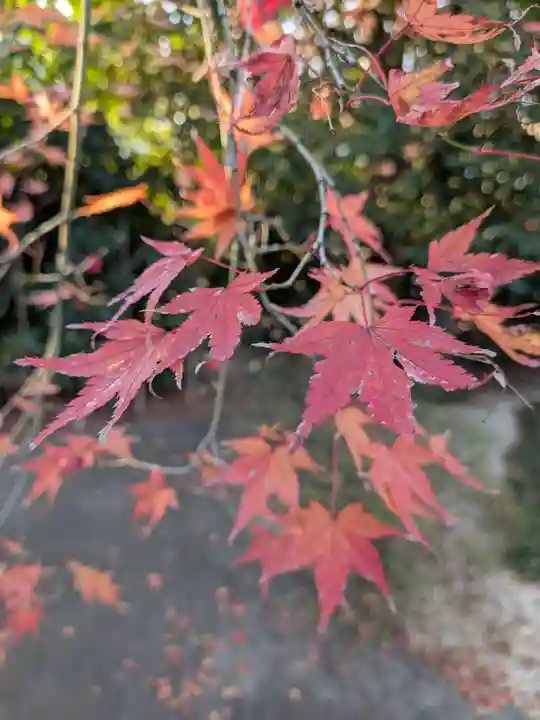 高円寺(東京都)