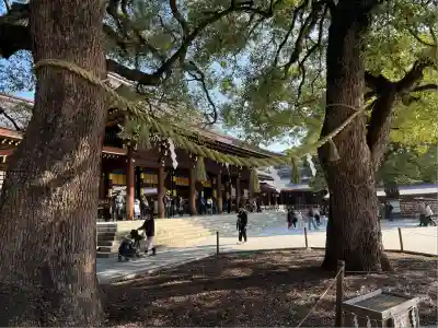明治神宮(東京都)