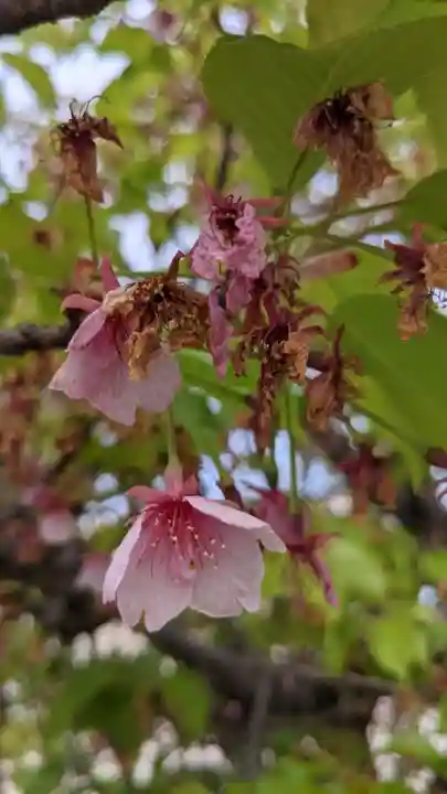 聚福院(愛知県)