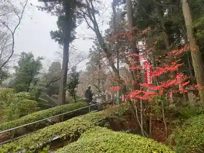 今熊野観音寺(京都府)