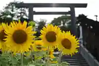 伊勢山皇大神宮(神奈川県)