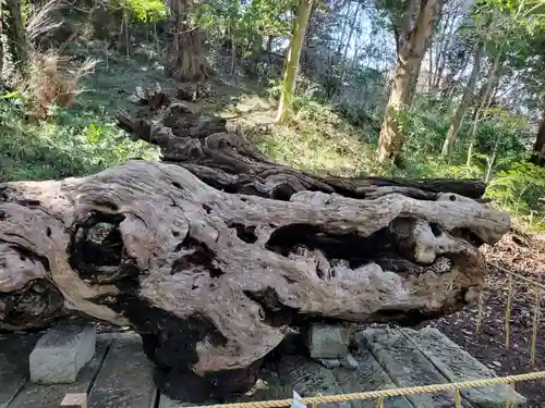 泉神社の建物その他