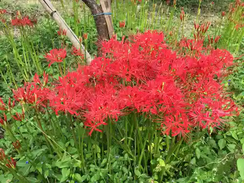 観音寺(三重県)