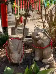 尼崎えびす神社の狛犬