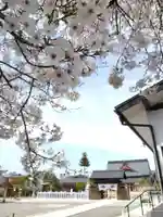 總社 和田八幡宮(福井県)