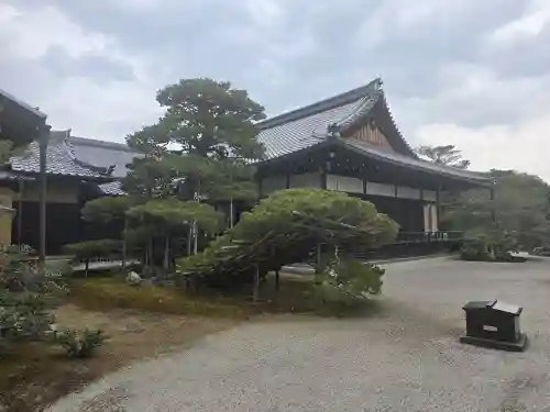 鹿苑寺（金閣寺）の自然