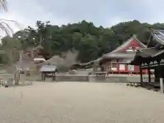 金剛寺の建物その他