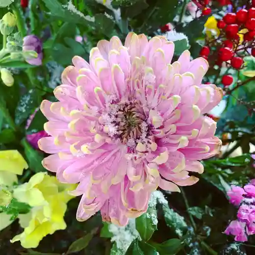 滑川神社 - 仕事と子どもの守り神の手水舎