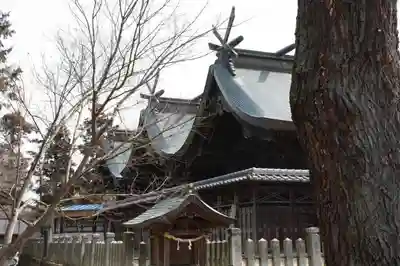 住吉神社の本殿・本堂