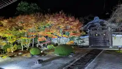 妙顯寺（妙顕寺）(京都府)