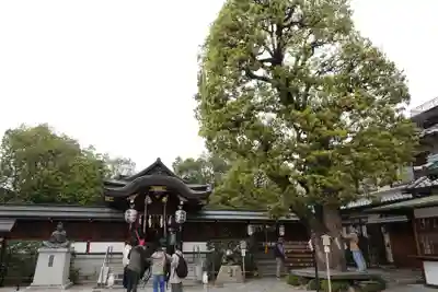 晴明神社(京都府)