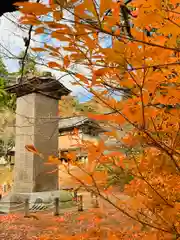 土津神社｜こどもと出世の神さまの自然