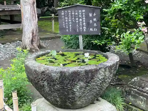 極楽寺（霊鷲山感應院極楽律寺）のその他建物