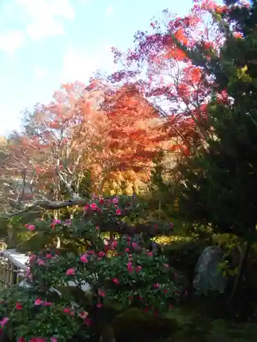 浄妙寺の庭園