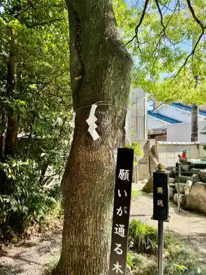 玉三稲荷神社の{uncategorized: "未分類", other: "その他", undefined: "問題あり", building: "その他建物", grave: "お墓", sacred_gate: "鳥居", guardian: "狛犬", statue: "像", buddha: "仏像", history: "歴史", nature: "自然", garden: "庭園", animal: "動物", pagoda: "塔", temizu: "手水舎", mountain_gate: "山門・神門", sanctuary: "本殿・本堂", subordinate: "末社・摂社", art: "芸術", scenery: "景色", jizo: "地蔵", ema: "絵馬", goshuin: "御朱印", omikuji: "おみくじ", items: "授与品その他", amulet: "お守り", goshuincho: "御朱印帳", eats: "食事", festival: "お祭り", votive_dance: "神楽", shichigosan: "七五三参", wedding: "結婚式", experience: "体験その他", initially: "初詣", around: "周辺", anti_infection: "感染症対策"}