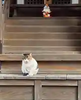 大津神社(大阪府)