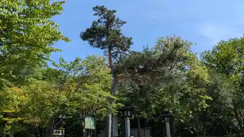 鷹栖神社の自然