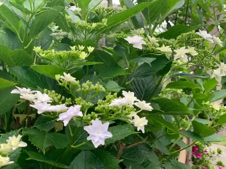 日枝大神社(神奈川県)