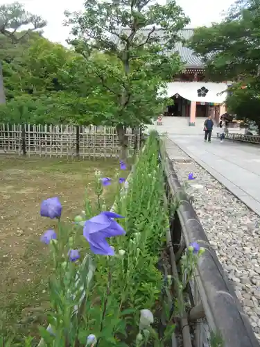 根来寺 智積院の庭園