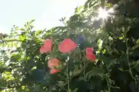大鏑神社の庭園