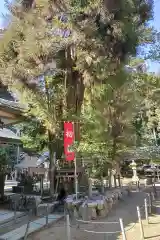 大村神社(三重県)