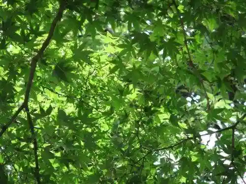 横瀬八幡宮(山口県)