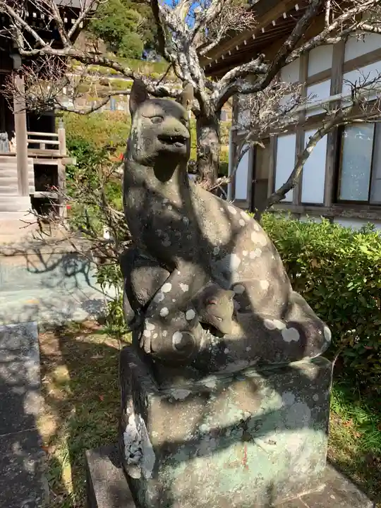 高照寺の狛犬