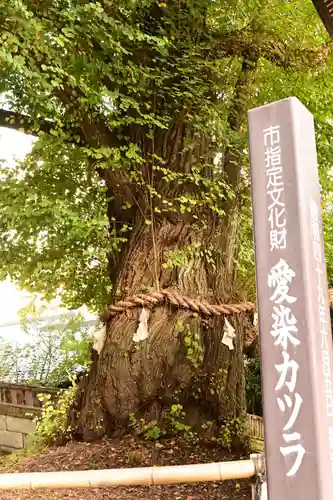 北向観音(長野県)