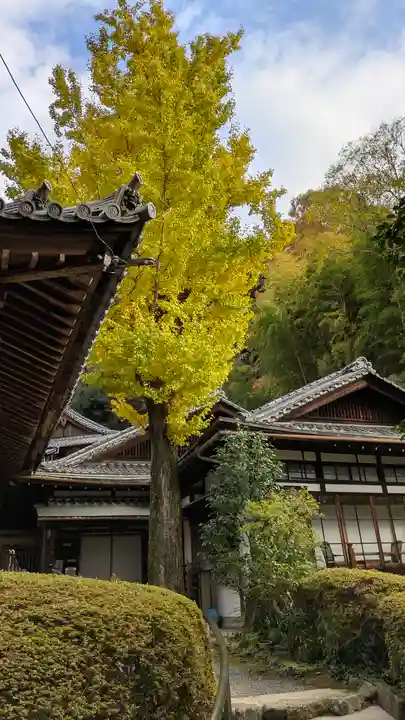 安養寺(京都府)