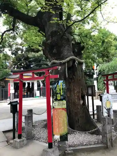 新田神社の自然