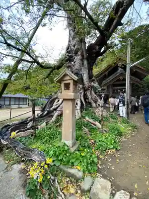 神魂伊能知奴志神社(島根県)