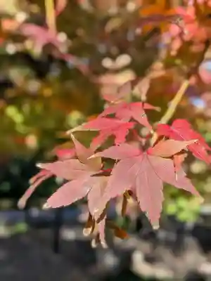福蔵院(東京都)